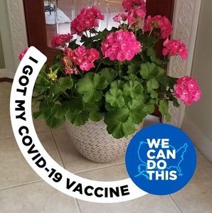 Meet your Posher, Sue